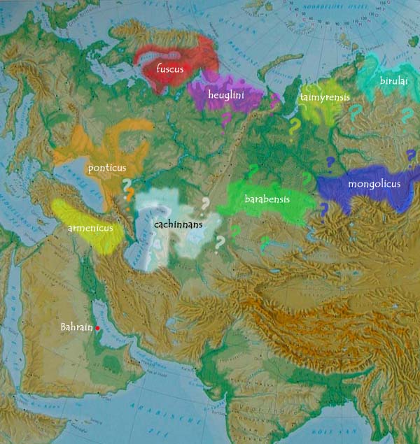 Bahrain & Asian species.