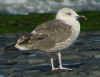 7885cy2.jpg (85762 bytes)