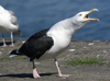 7647.jpg (66420 bytes)