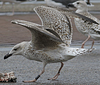 5825stavangergbbg.jpg (55334 bytes)