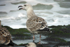 8471j52c.jpg (85052 bytes)