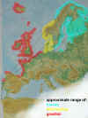 LBBG in West Europe. (63842 bytes)