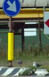 7069bord.jpg (83431 bytes)