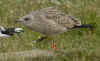 8794e17306082004.jpg (115335 bytes)