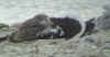 5551.jpg (64789 bytes)