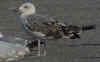 5540.jpg (112023 bytes)